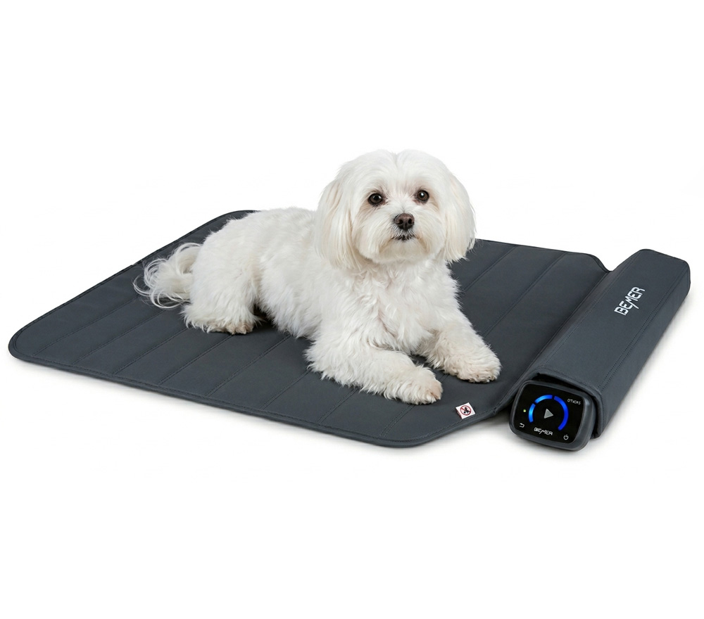 Bemer Dog Line kutya rehabilitáció